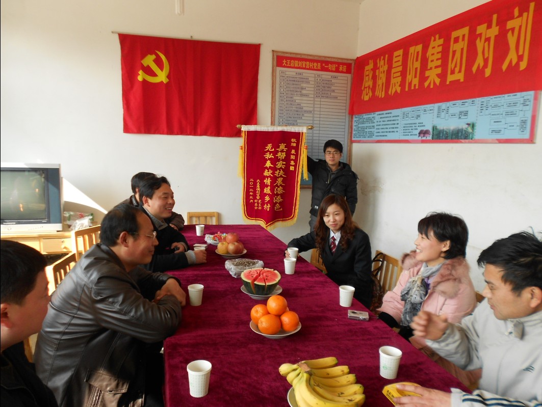 晨阳集团扮“靓”刘官营村