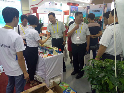 厦洽会2.jpg