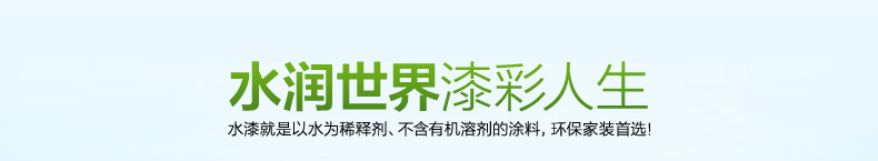 晨阳家装水漆(抗甲醛)