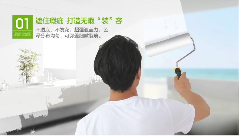 晨阳家装水漆(抗甲醛)